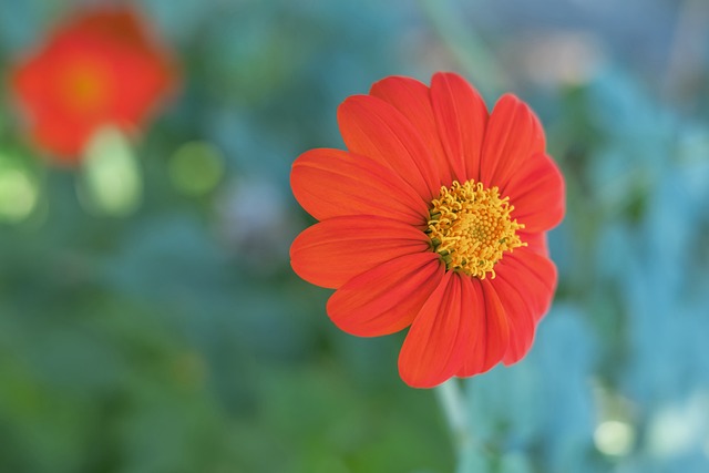 化学反应 化学反应