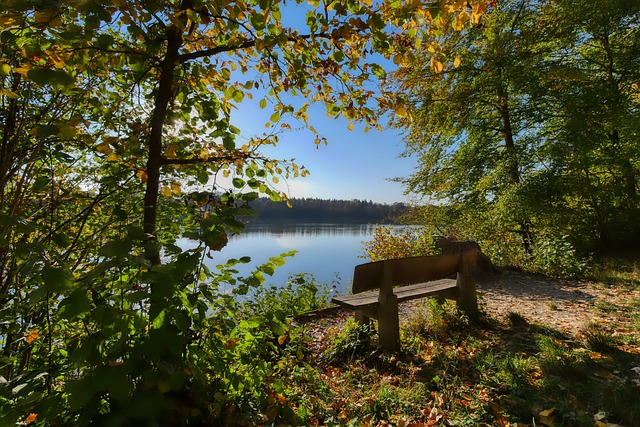 为球迷带来 为球迷带来