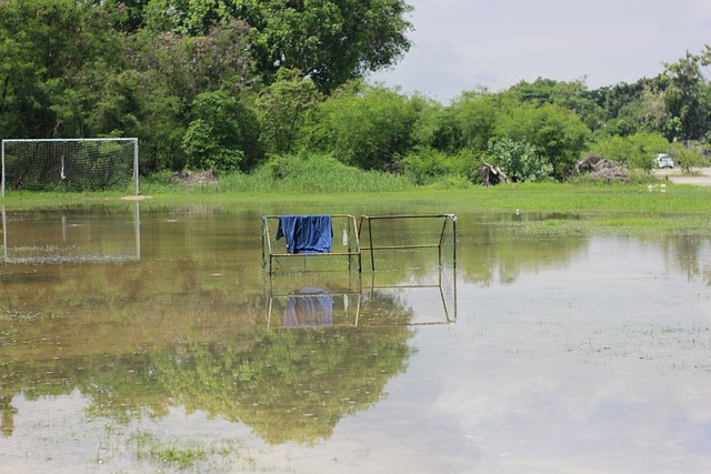 技战术调整 技战术调整